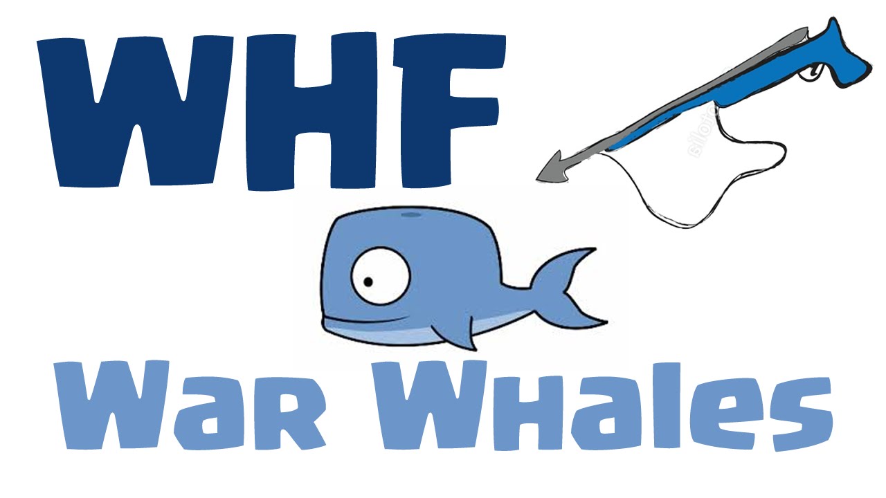 WHF vs. War Whales - The Recap