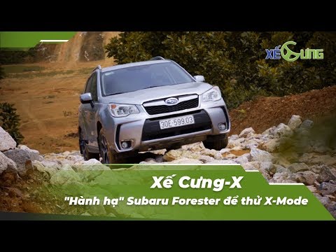 [Xế Cưng-X 16] "HÀNH HẠ" Subaru Forester để thử X-Mode