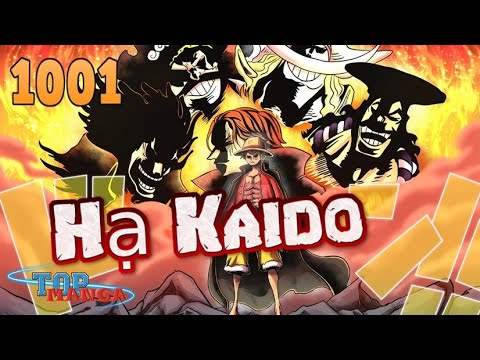[One Piece 1001]. Roger, Râu Trắng, Garp và Những nhân vật từng đánh bại Kaido?