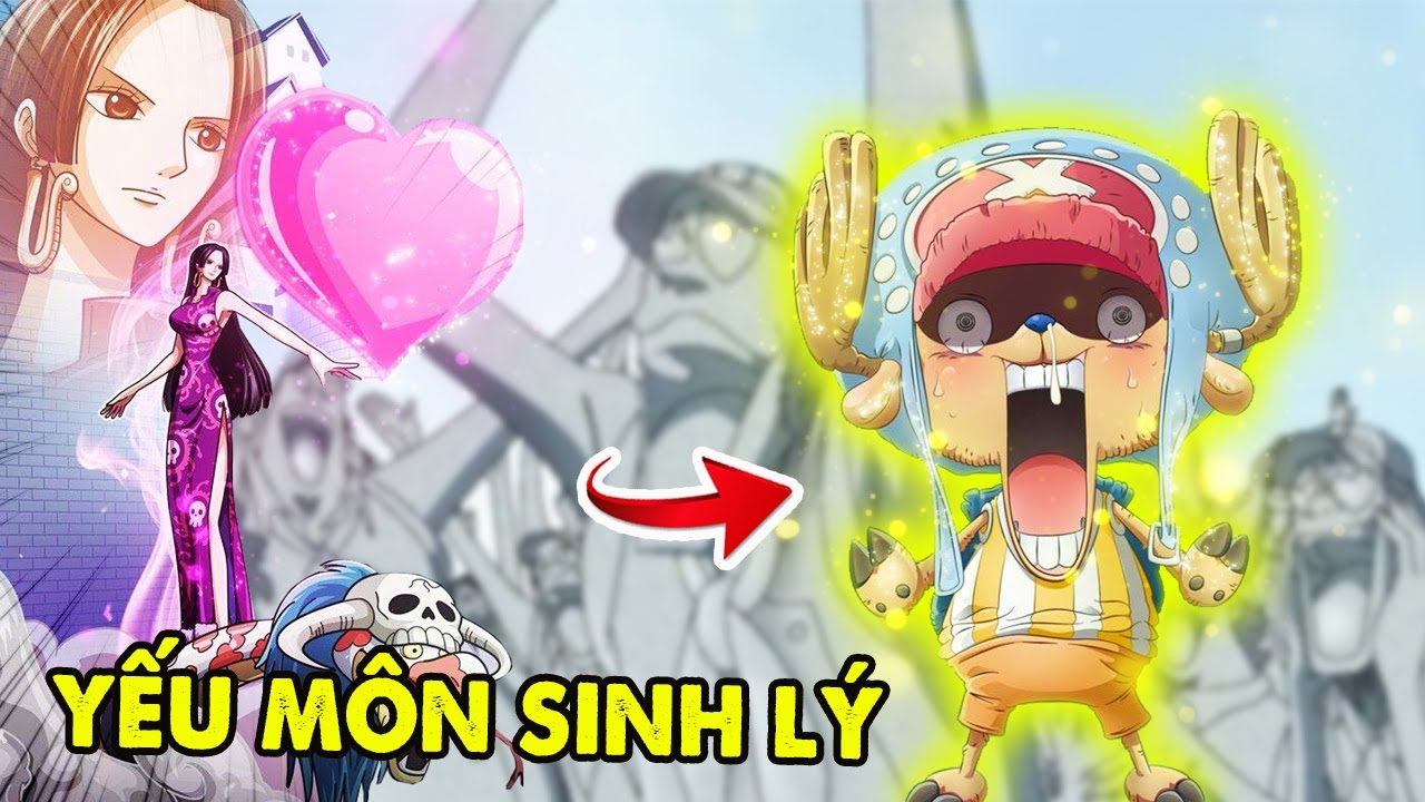 Thanh Niên Cứng, Top 7 Người Không Bị Boa Hancock Hóa Đá