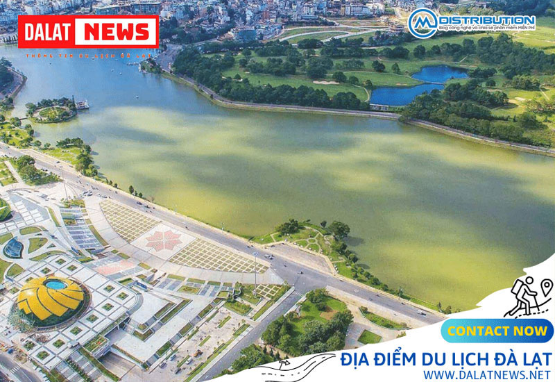 dalatnews-cam-nang-du-lich-tuyet-voi-cho-du-khach-den-da-lat-cmcdistribution