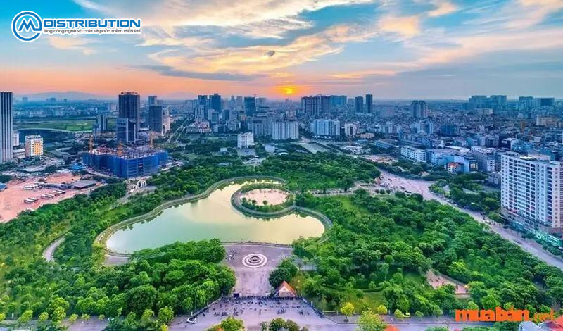 muaban-net-hoat-dong-o-nhung-linh-vuc-nao-cmcdistribution