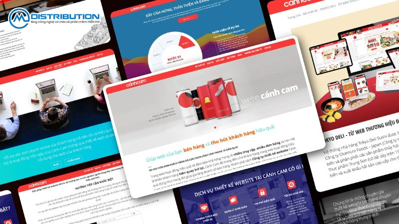 vi-sao-ca-nhan-doanh-nghiep-can-website-cmcdistribution